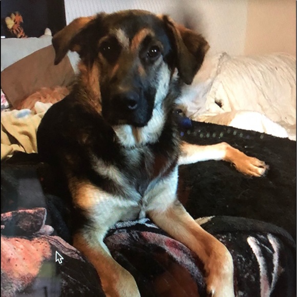 Meet your Posher, R - Picture 3 of 8